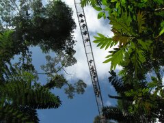 Im Hängebrückenpark an der Laguna de Arenal