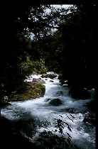 Wasserfall