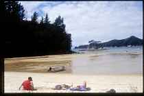 Strand im Abel Tasman NP
