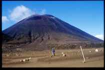 Tongariro