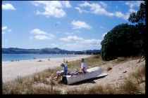 Strand von Cooks Bay