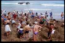 Hot Water Beach