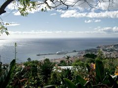 Blick auf Funchal