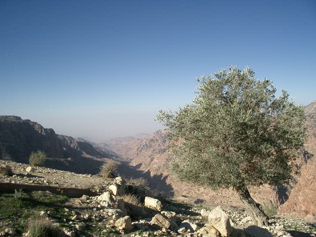 Blick ins Wadi Dhana