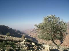 Blick ins Wadi Dhana