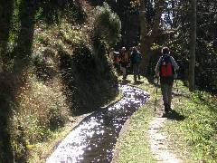 Immer entlang der Levada