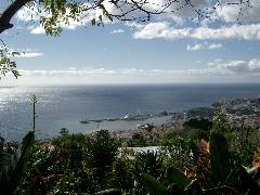 Blick auf den Hafen von Funchal