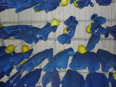 Blau-gelbes in der Kaue