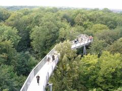 Baumkronenpfad im Nationalpark Hainich