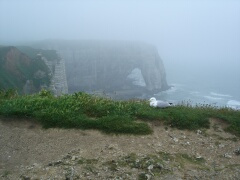 Kreideküste in  Étretat