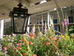 Bunte Blumen im Innenhof des ehemaligen Klosters Los Frailes