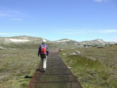 Auf dem Weg zum Gipfel des Mount Kosciusko