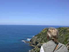 Blick von der höchsten Klippe Victorias