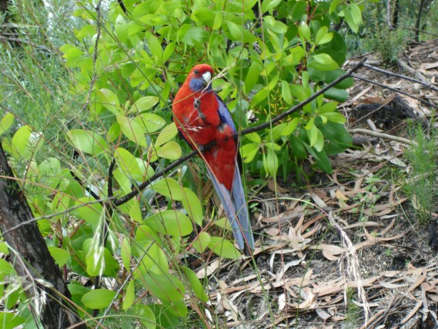 slideshow image