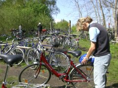 Das Fahrrad hat Zingst im Sommer fest im Griff