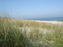 Im Naturschutzgebiet Vorpommersche Boddenlandschaft