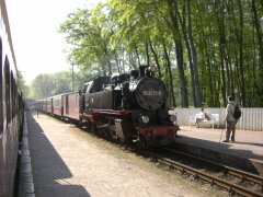 Molli fährt in de Bahnhof von Heiligendamm ein