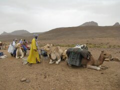 Tuareg entladen die Kamele
