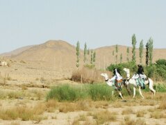 Festteilnehmer auf dem Weg nach Tazrouk