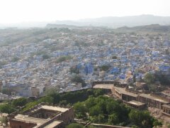 Blaues Häsermeer von Jodhpur