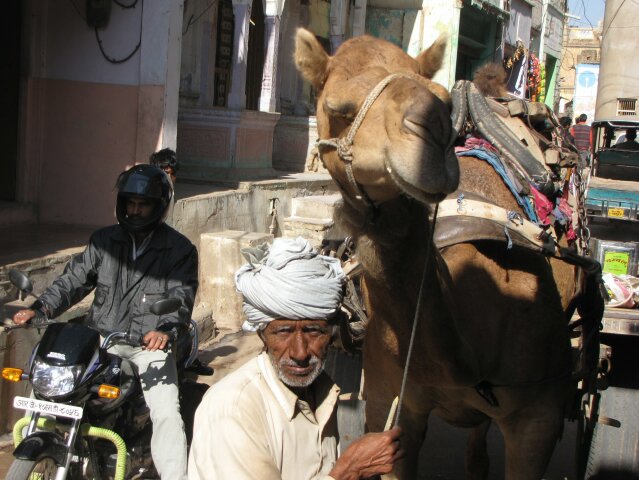slideshow image
