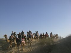 Touristen und Einheimische beim Kameltrekking