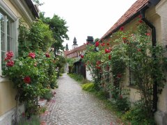 Rosengeschmückte Gasse in Visby