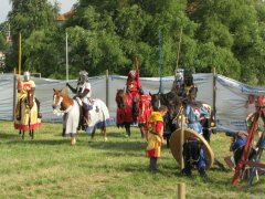 Ritterturnier bei Schloss Gripsholm